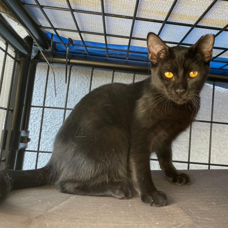 Phil — thumbnail 2