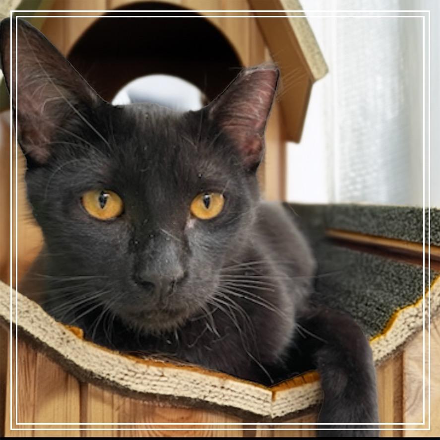 Phil — thumbnail 3