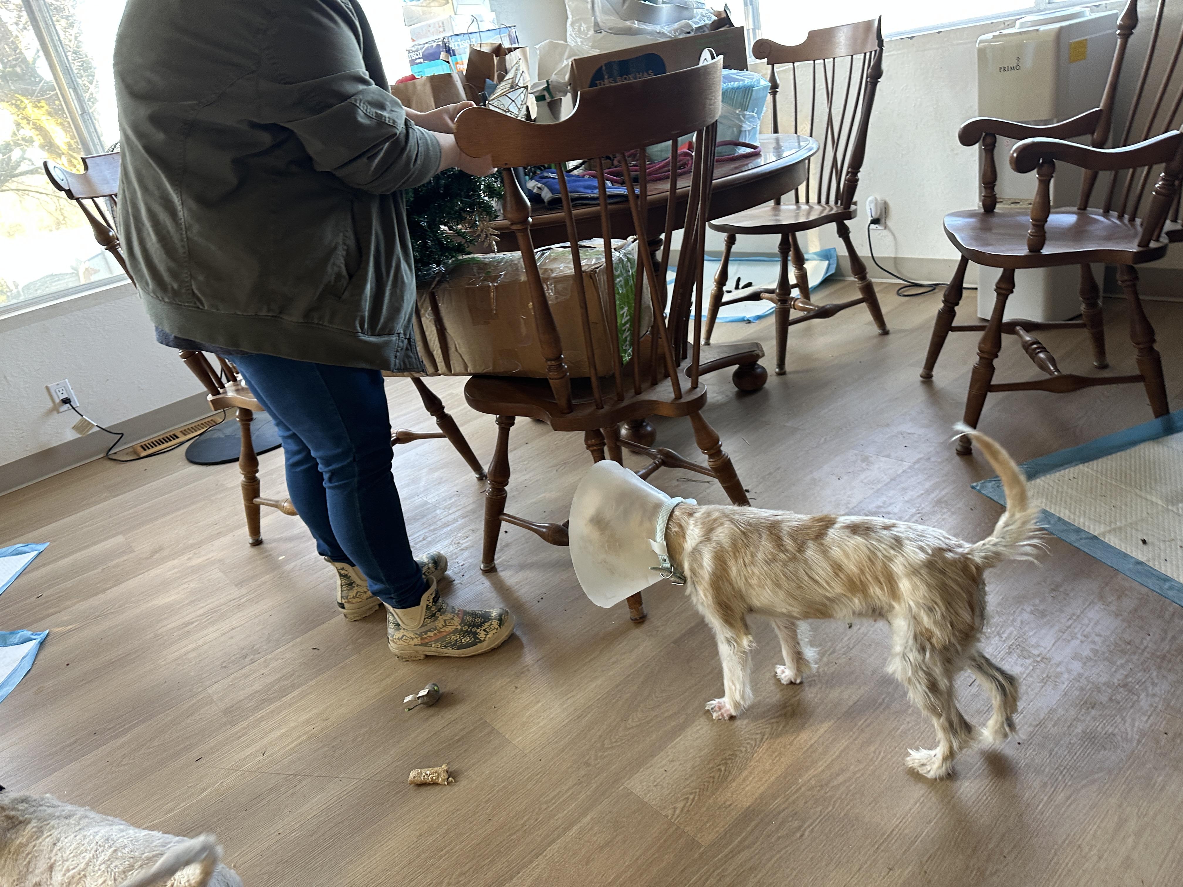 Glitter Sparkle Pants thumbnail 2