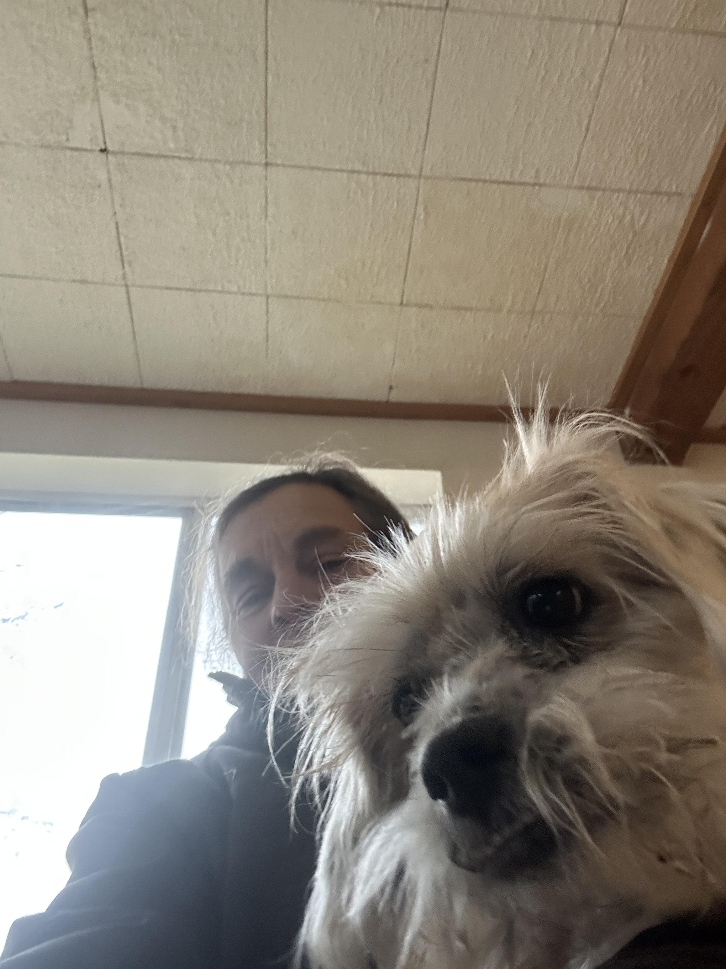 Glitter Sparkle Pants thumbnail 3