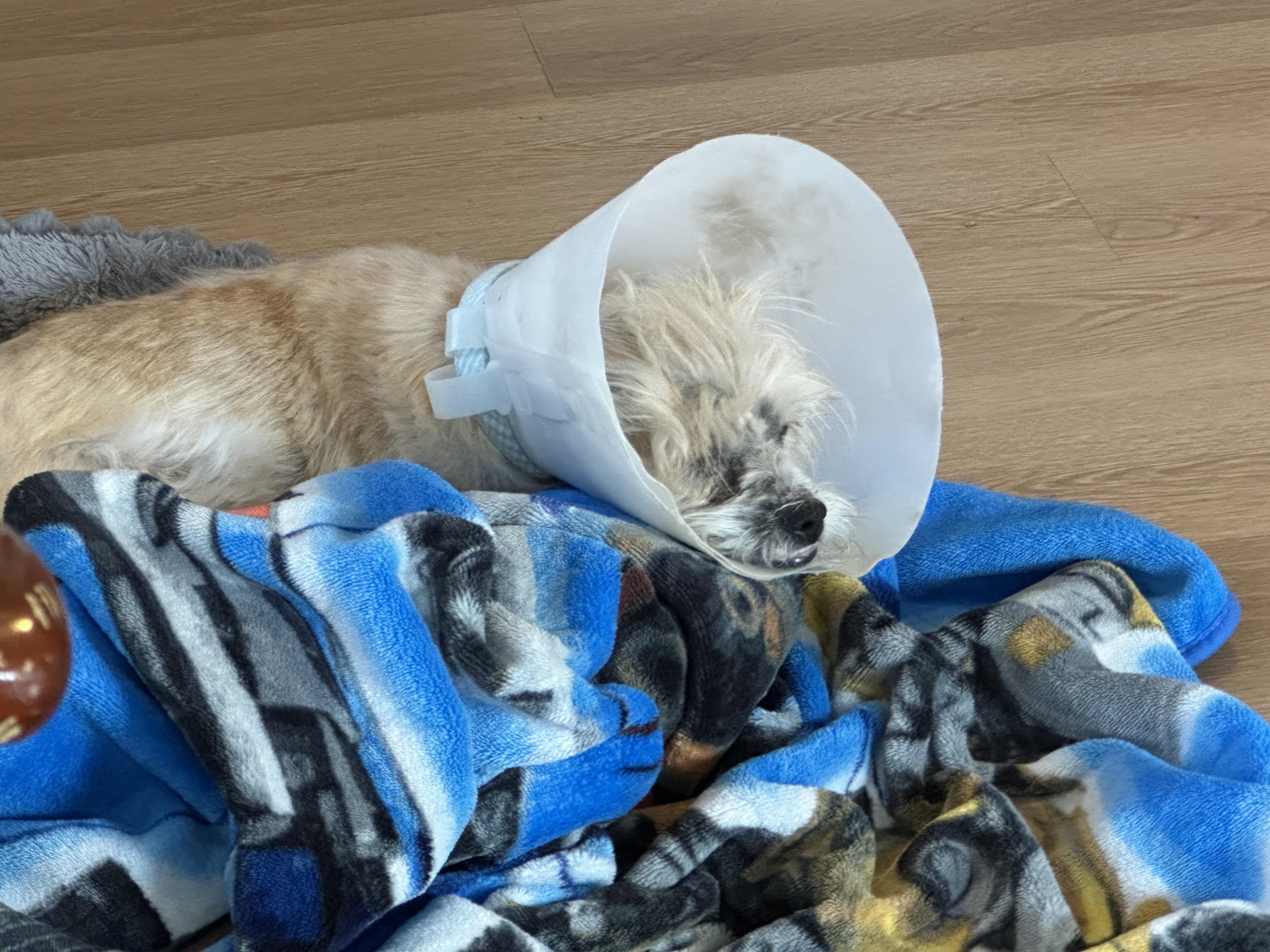 Glitter Sparkle Pants thumbnail 5