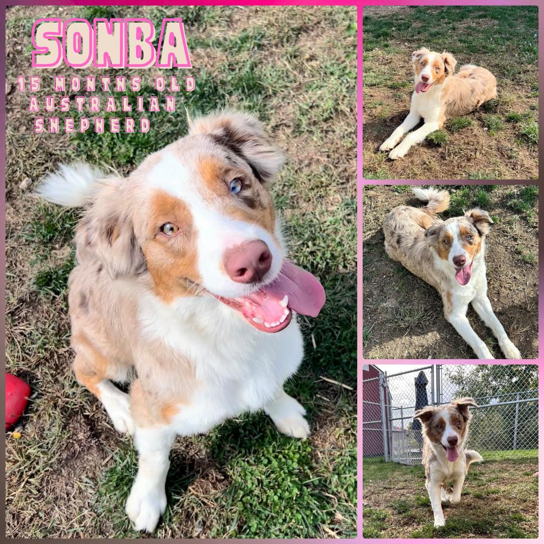 Sonba