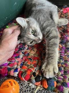 Sterling thumbnail 2