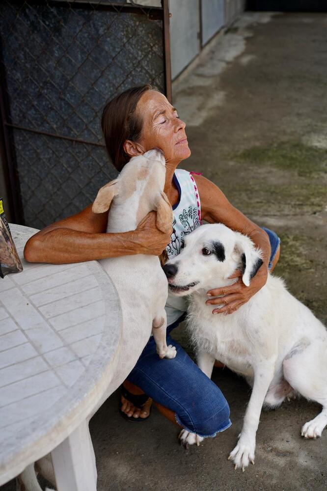 Enlarge Linda, a Adoptable mixed breed in San Diego, CA image 1/6