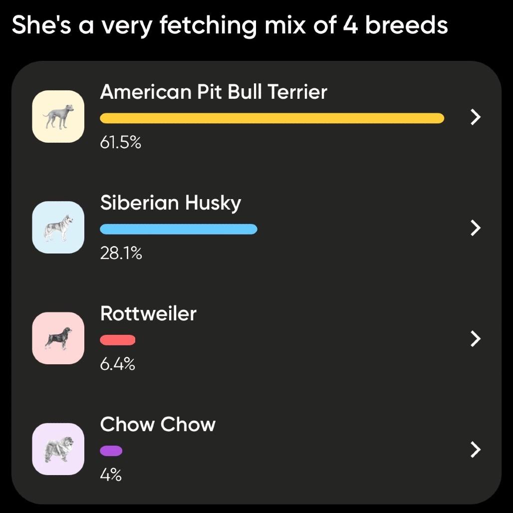 Enlarge Zira, a Adoptable German Shepherd Dog in Saint John, IN image 2/3