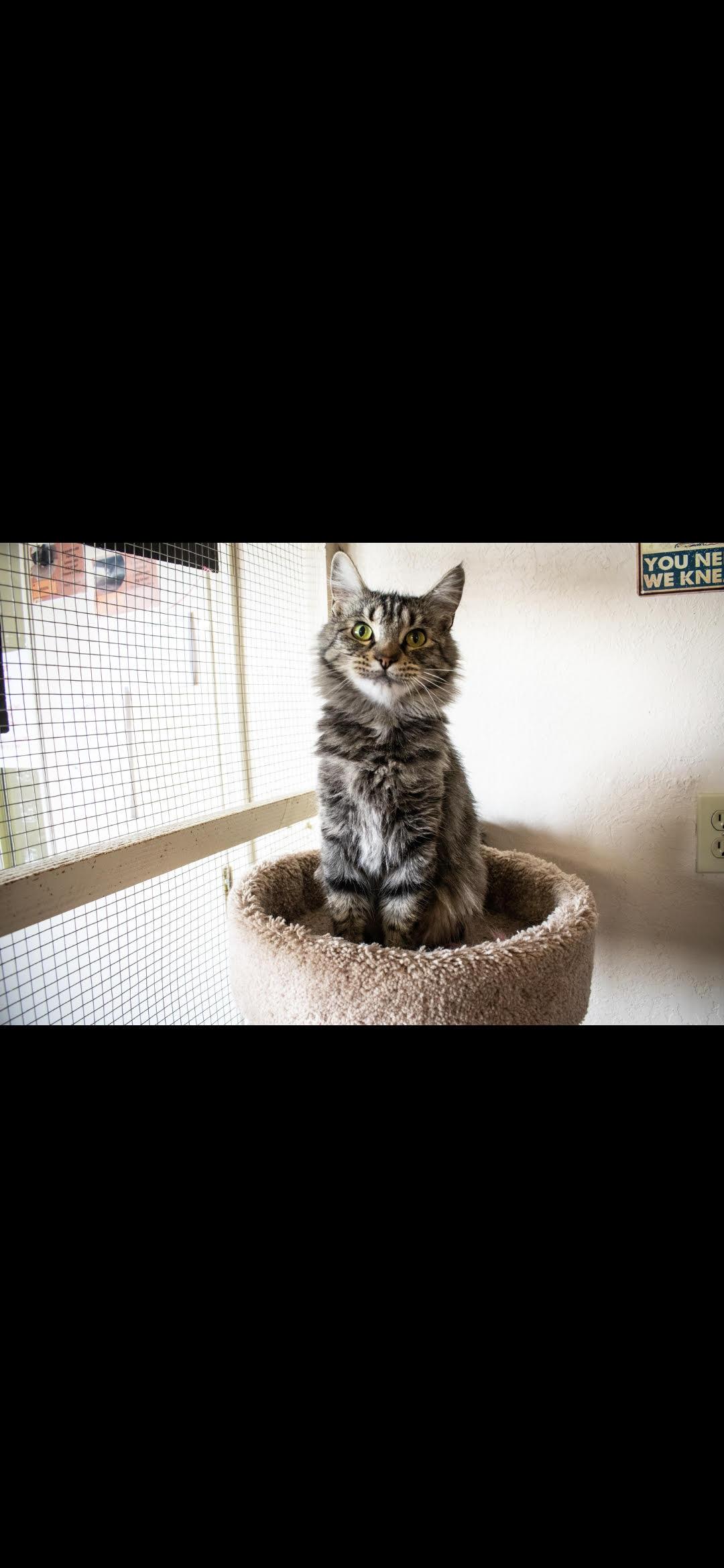Bonita