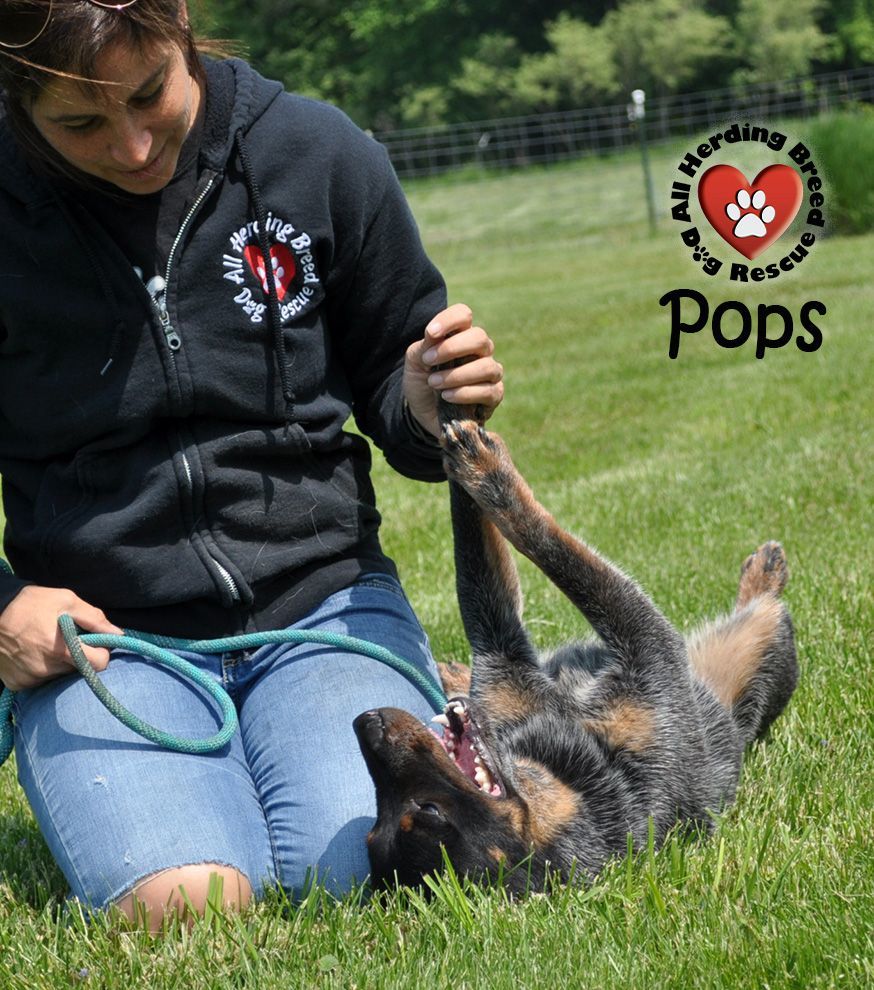 Pops photo 3