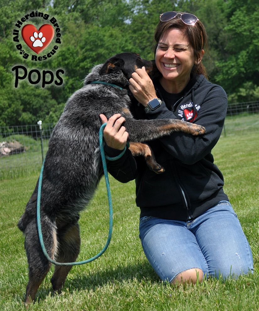 Pops photo 2