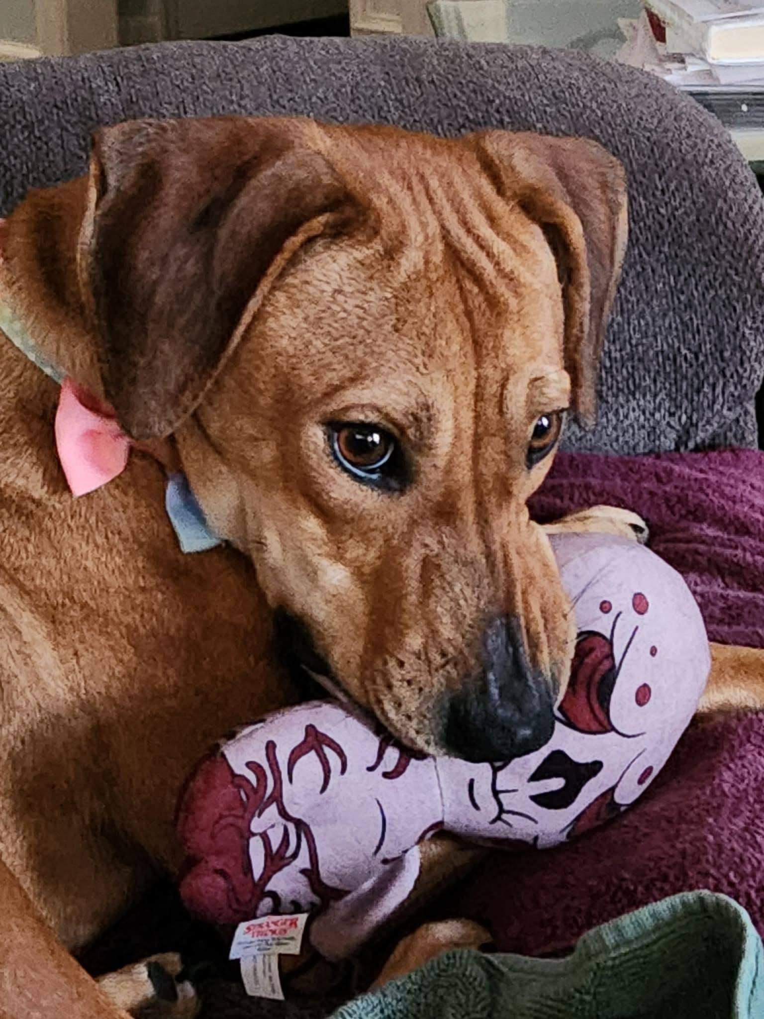 Lady — thumbnail 4