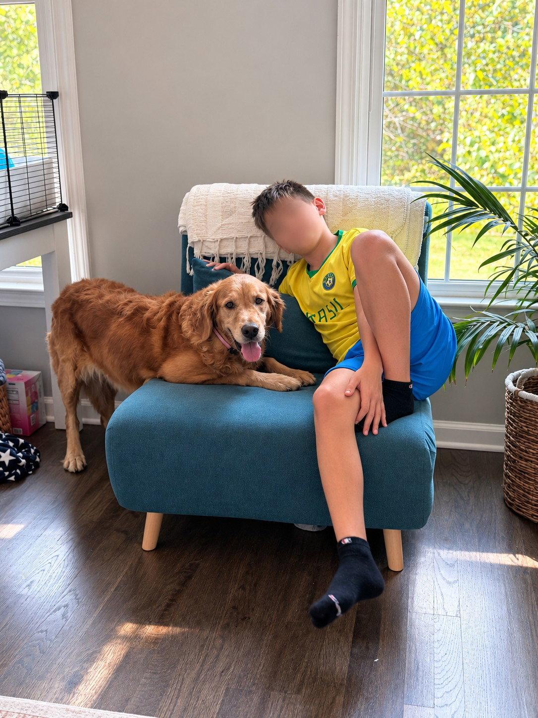 Enlarge Roxy Hart, a Adoptable Golden Retriever in Alpharetta, GA image 2/3