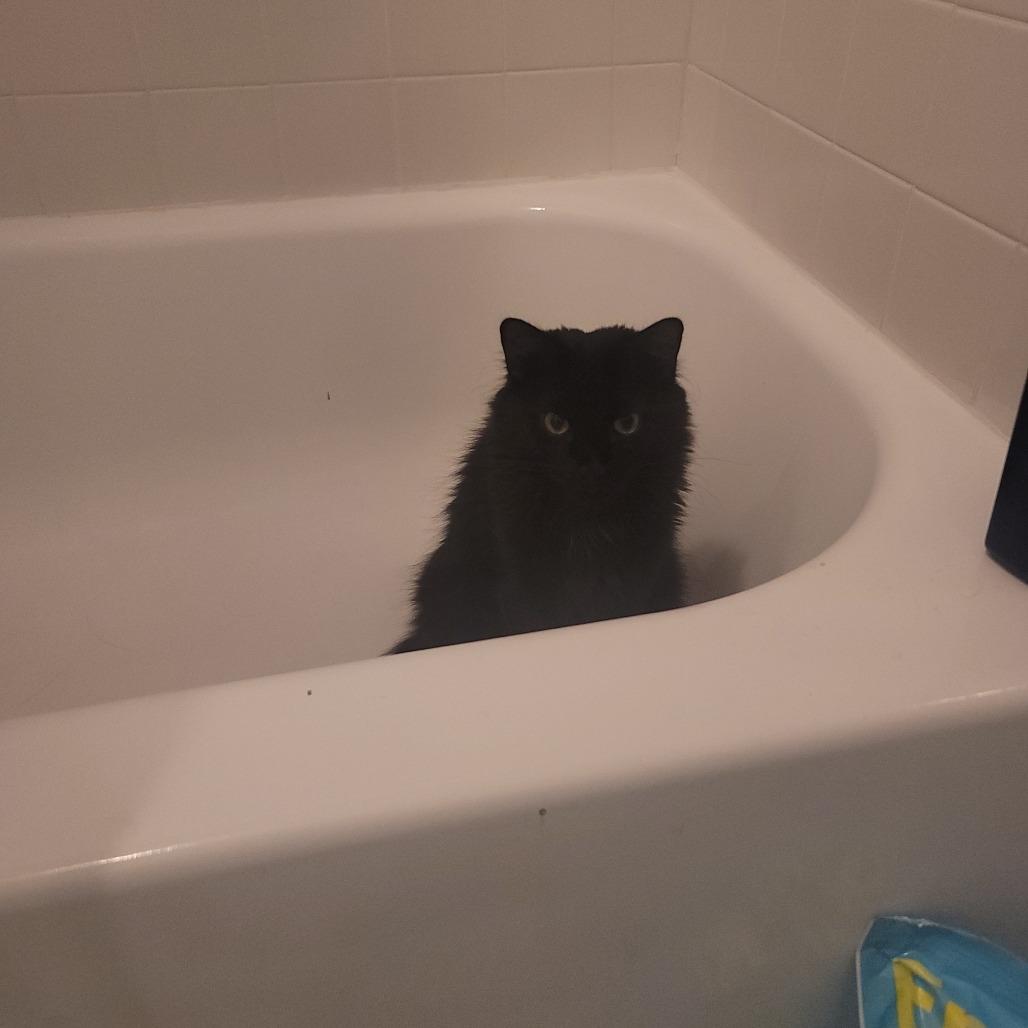 Captain Blacky thumbnail 3