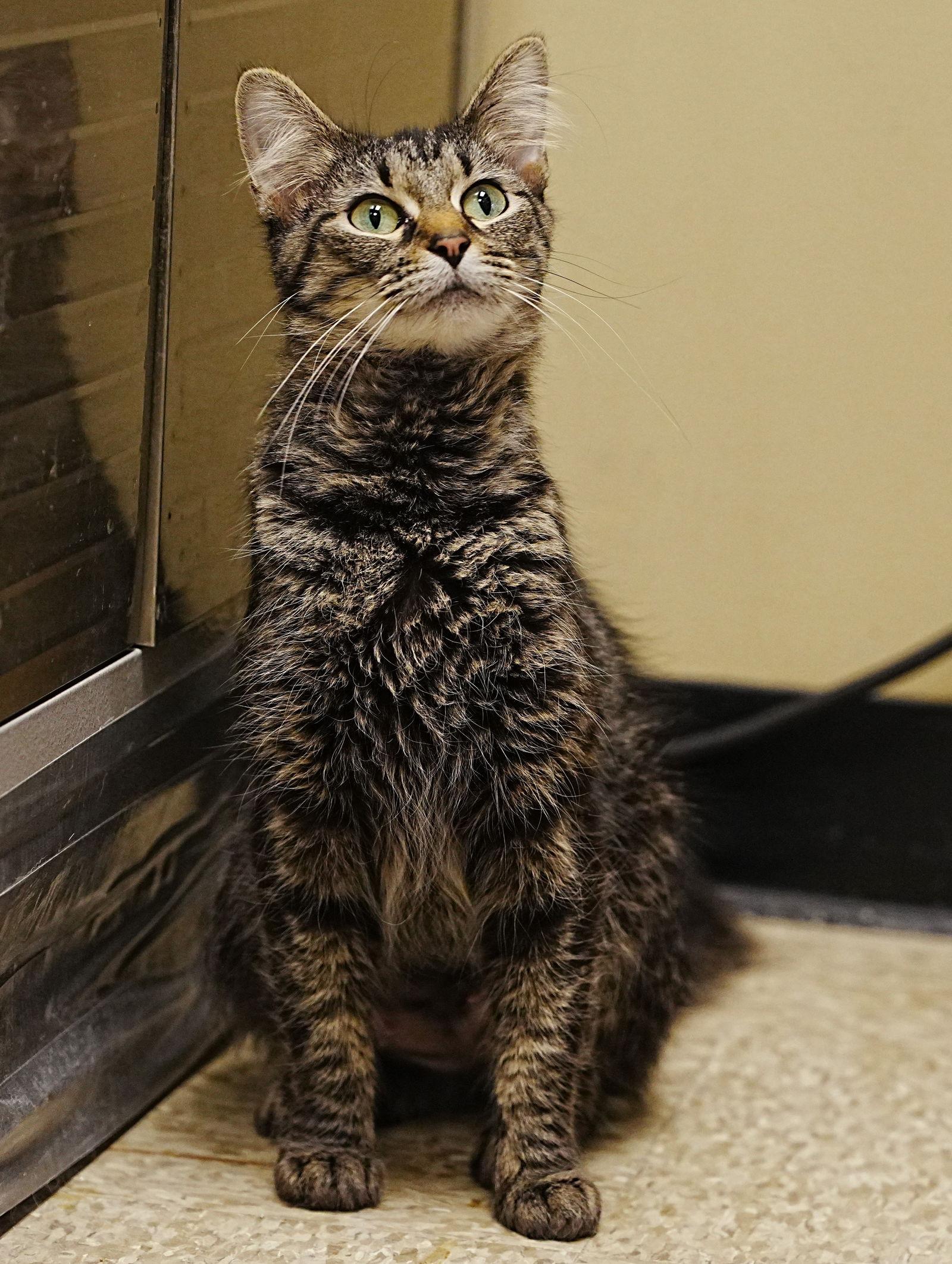 Ruth — thumbnail 2