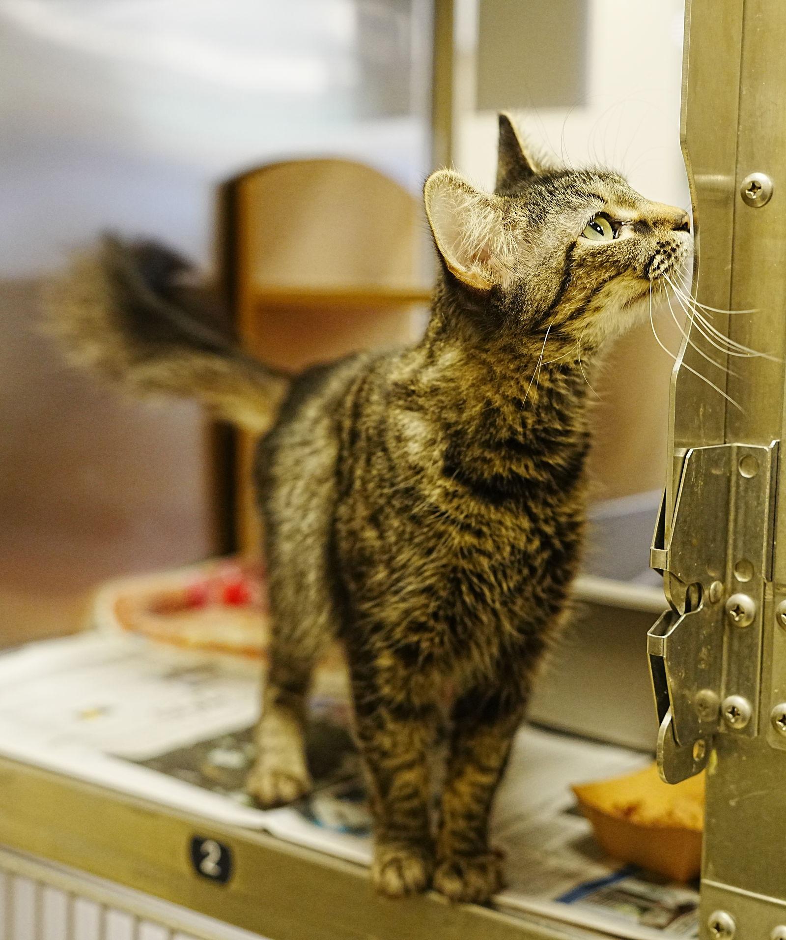 Ruth — thumbnail 3