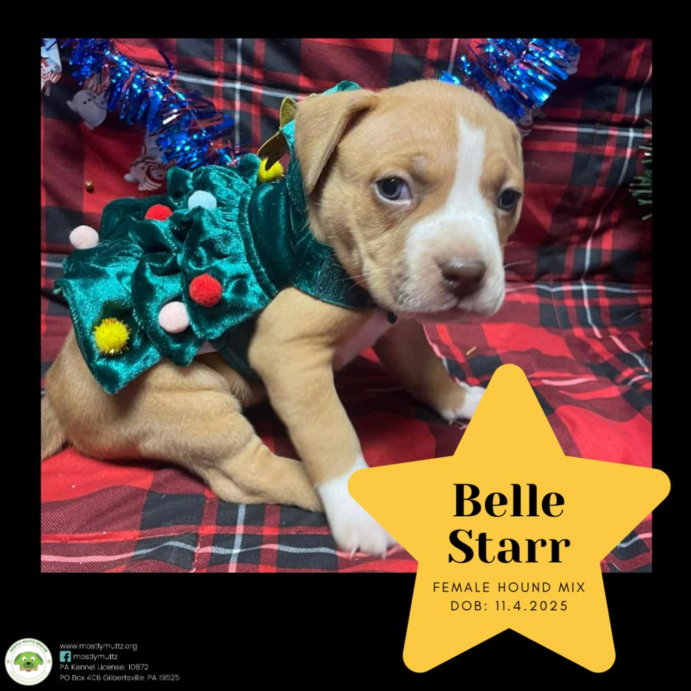 Belle Starr thumbnail 3