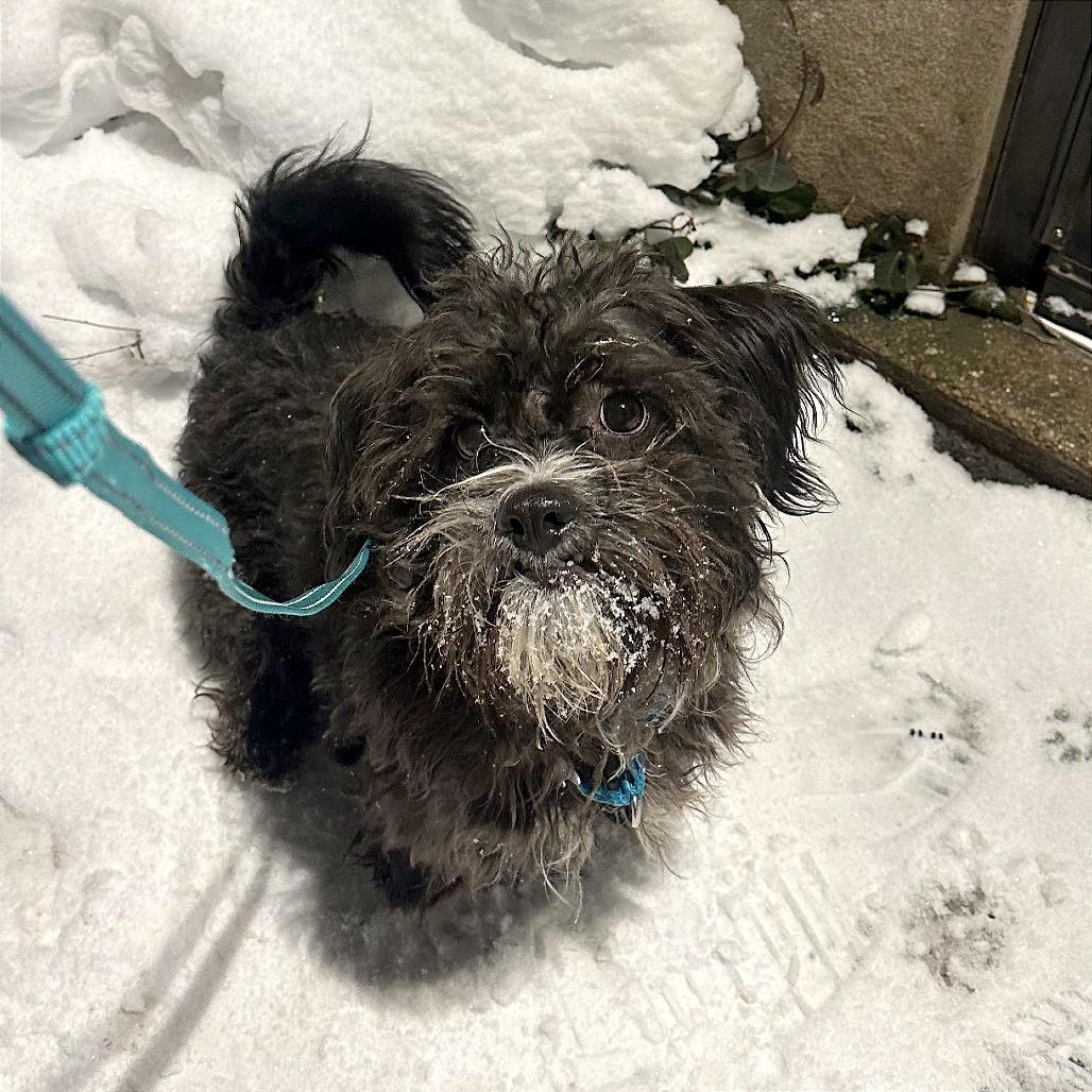 Fred — thumbnail 3