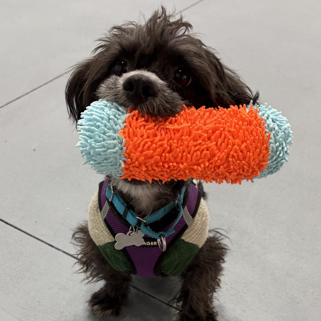 Fred — thumbnail 6