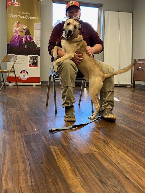 Enlarge Kyle, a Adoptable mixed breed in Bloomington, IN image 2/6
