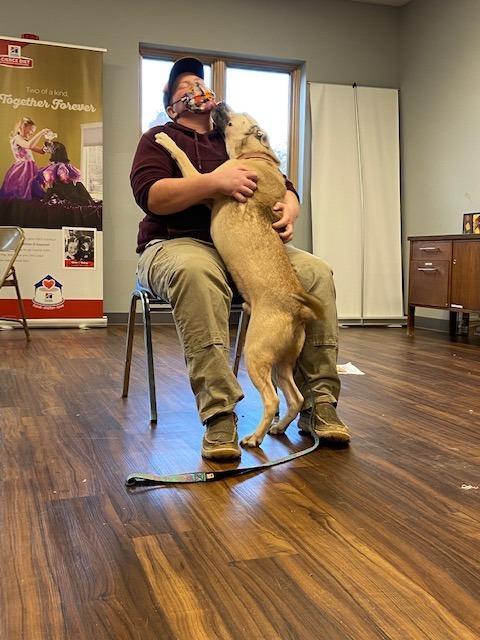 Enlarge Kyle, a Adoptable mixed breed in Bloomington, IN image 4/6