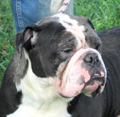 Emmitt