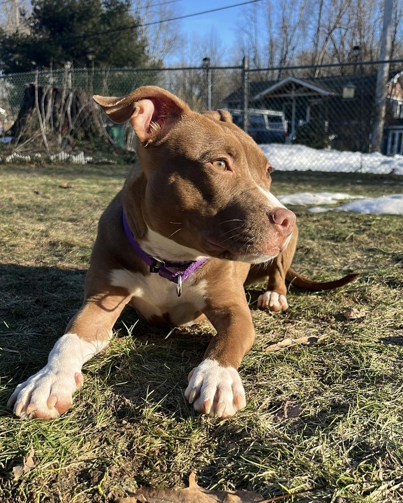 Brianna (ACC) — thumbnail 3