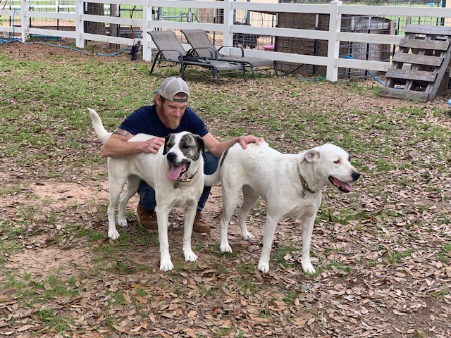Enlarge Lita & Ford, a Adoptable mixed breed in Magnolia, TX image 2/3
