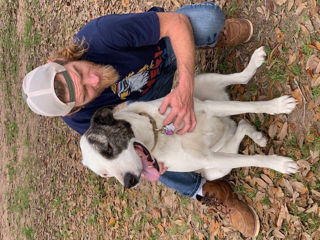 Enlarge Lita & Ford, a Adoptable mixed breed in Magnolia, TX image 3/3