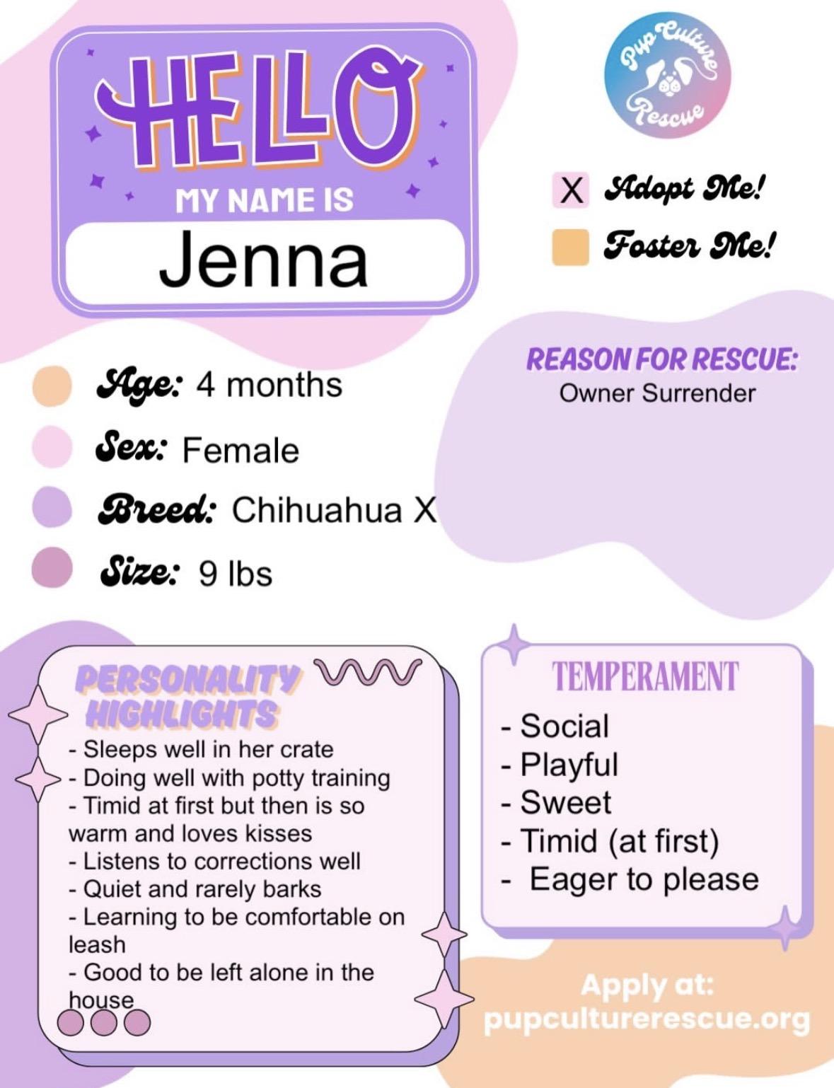 Jenna, a ADOPTABLE mixed breed in Pasadena, CA image 2/5