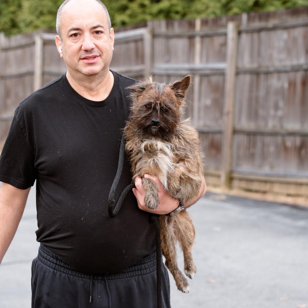 Enlarge Gary, a Adoptable mixed breed in Chester Springs, PA image 1/4