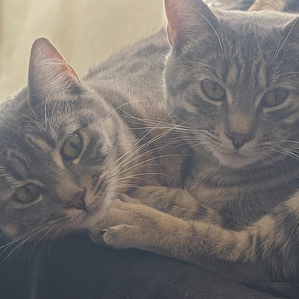 Doja Cat — thumbnail 4