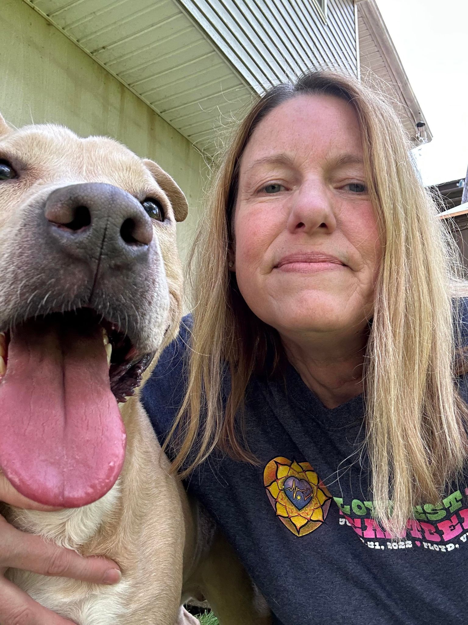 Tywin, adoptable, Adult Male Pit Bull Terrier & American Bully.