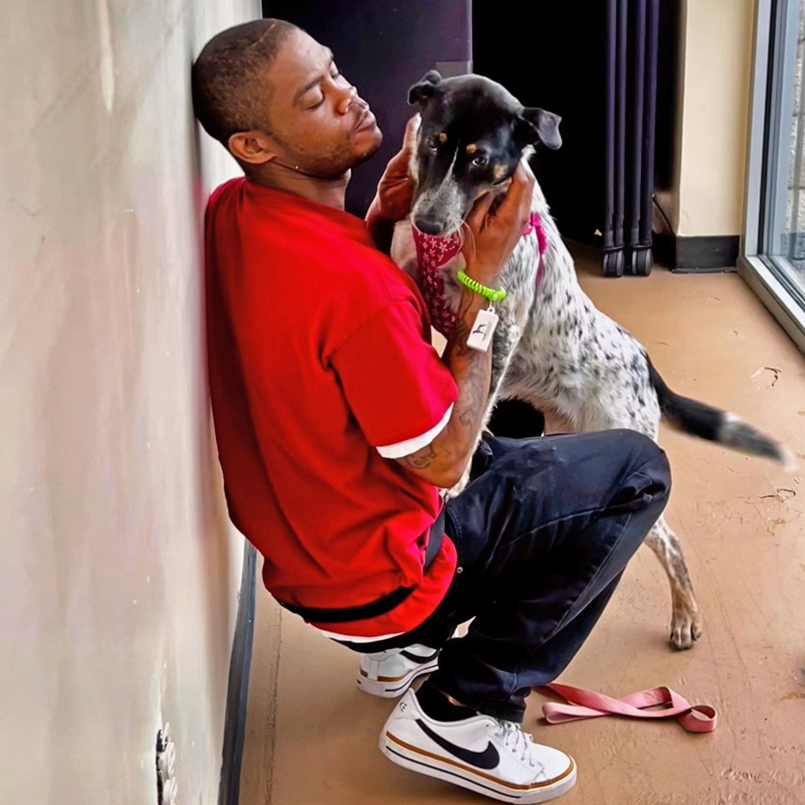 Enlarge Tweety, a Adoptable mixed breed in Atlanta, GA image 1/3