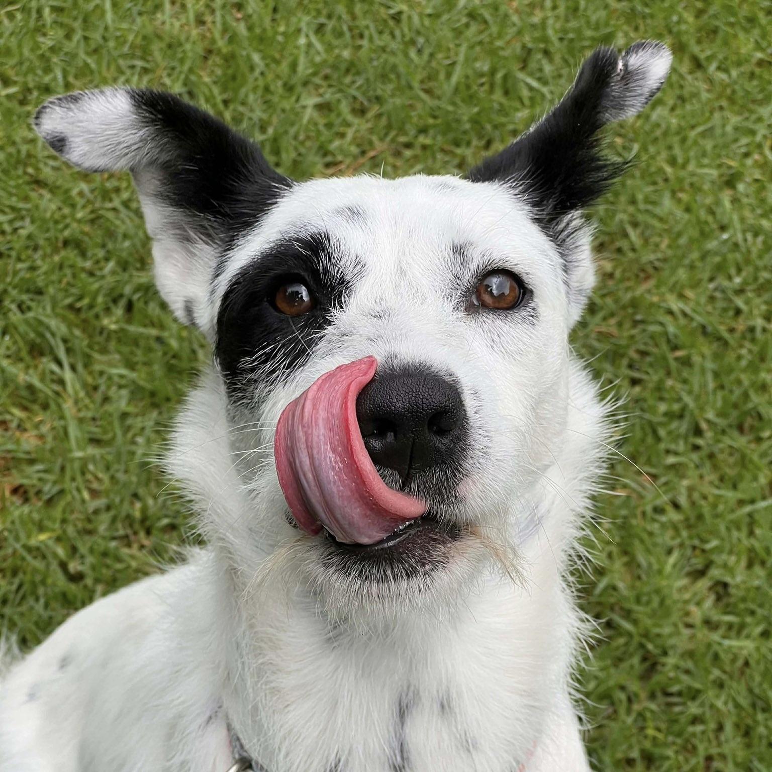 Eloise (20260306-01)