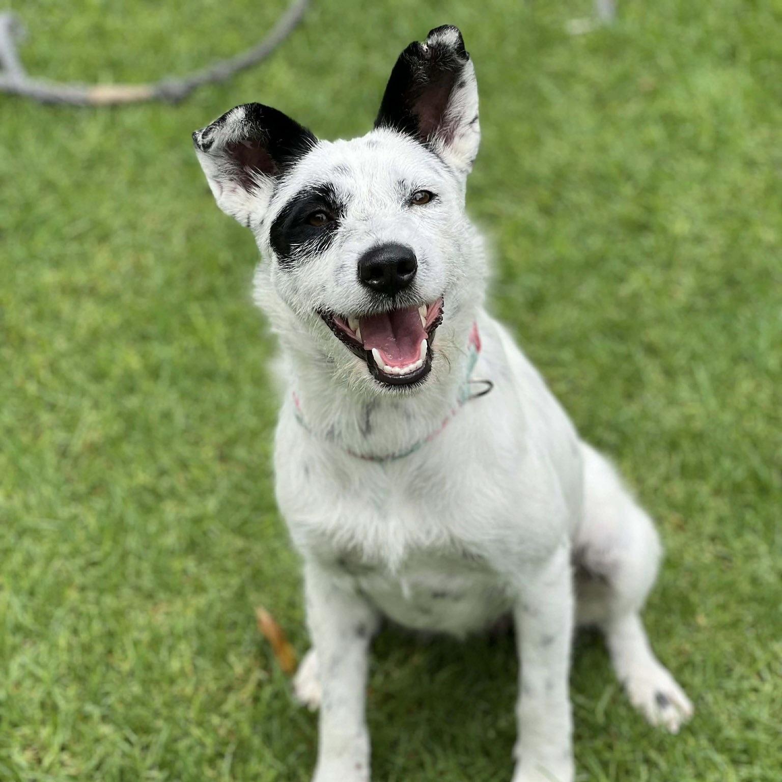 Eloise (20260306-01) — thumbnail 2