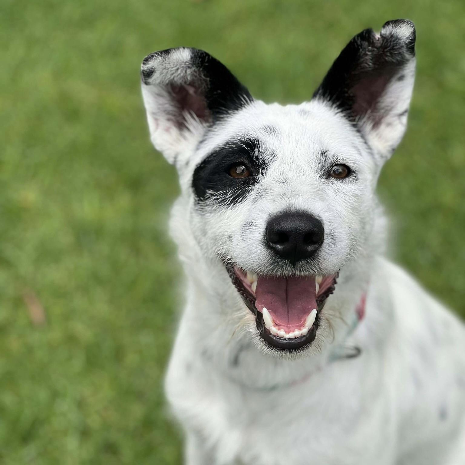 Eloise (20260306-01) — thumbnail 3