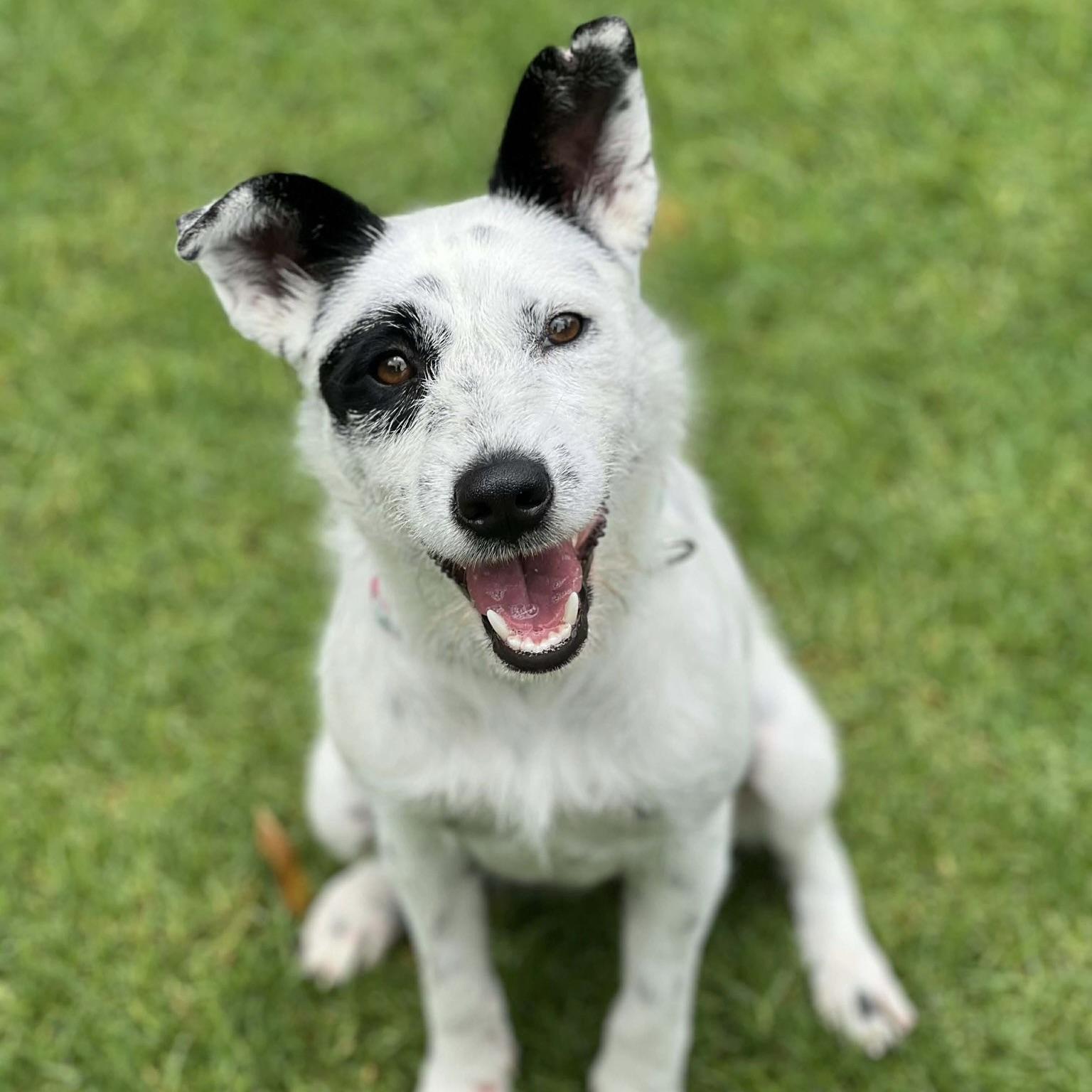 Eloise (20260306-01) — thumbnail 4