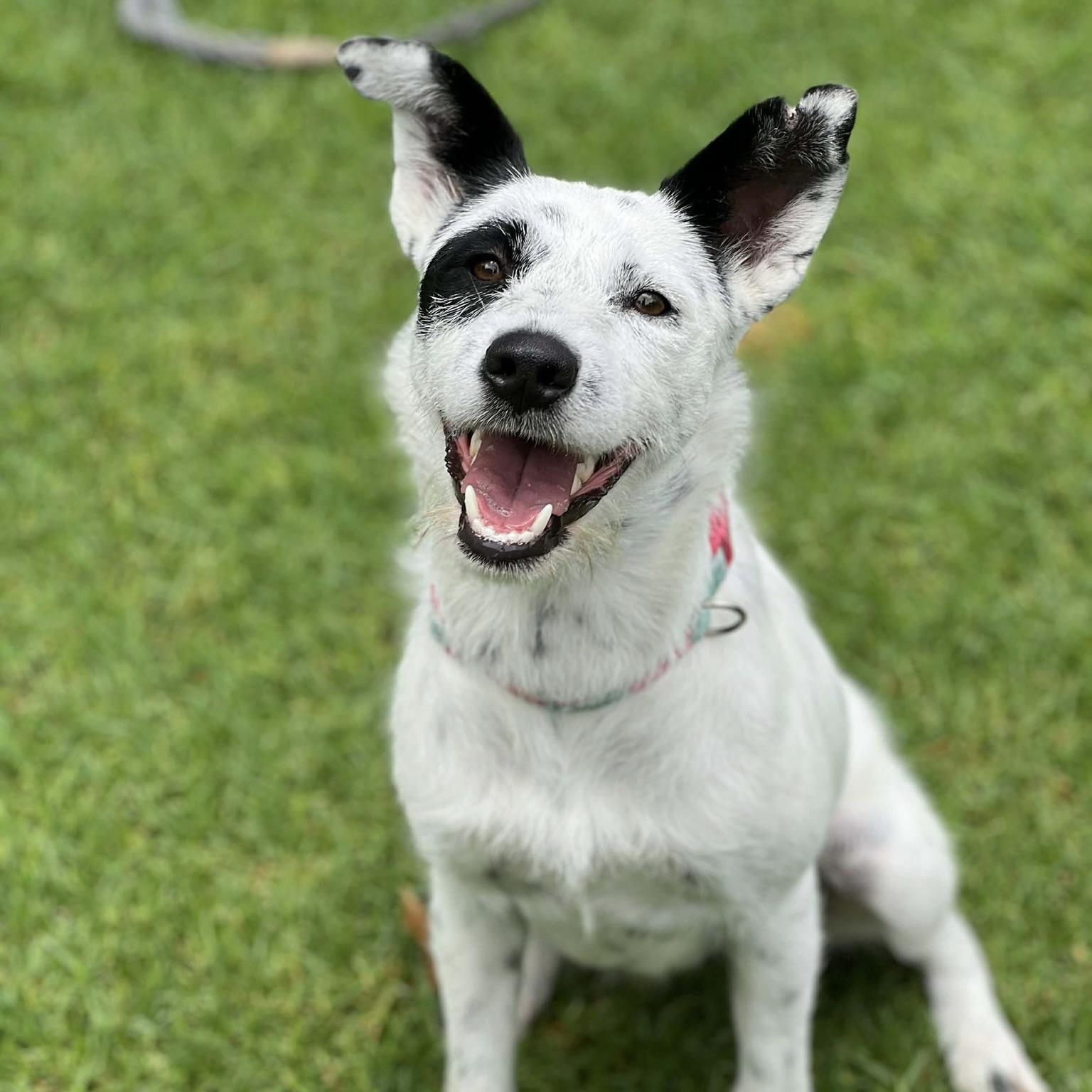 Eloise (20260306-01) — thumbnail 5