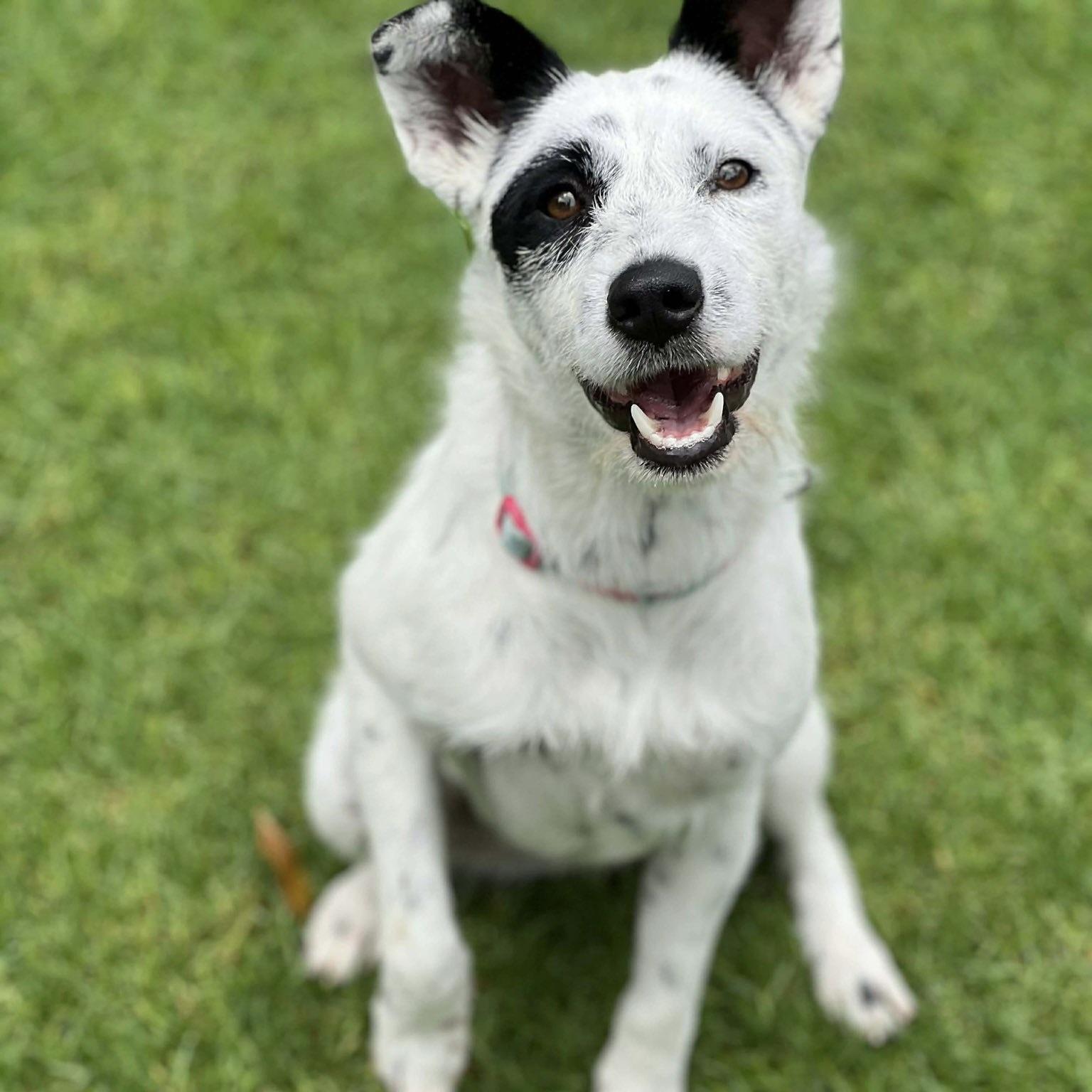 Eloise (20260306-01) — thumbnail 6