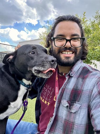 Ronaldo, a Adoptable mixed breed in Wichita, KS image 3/3