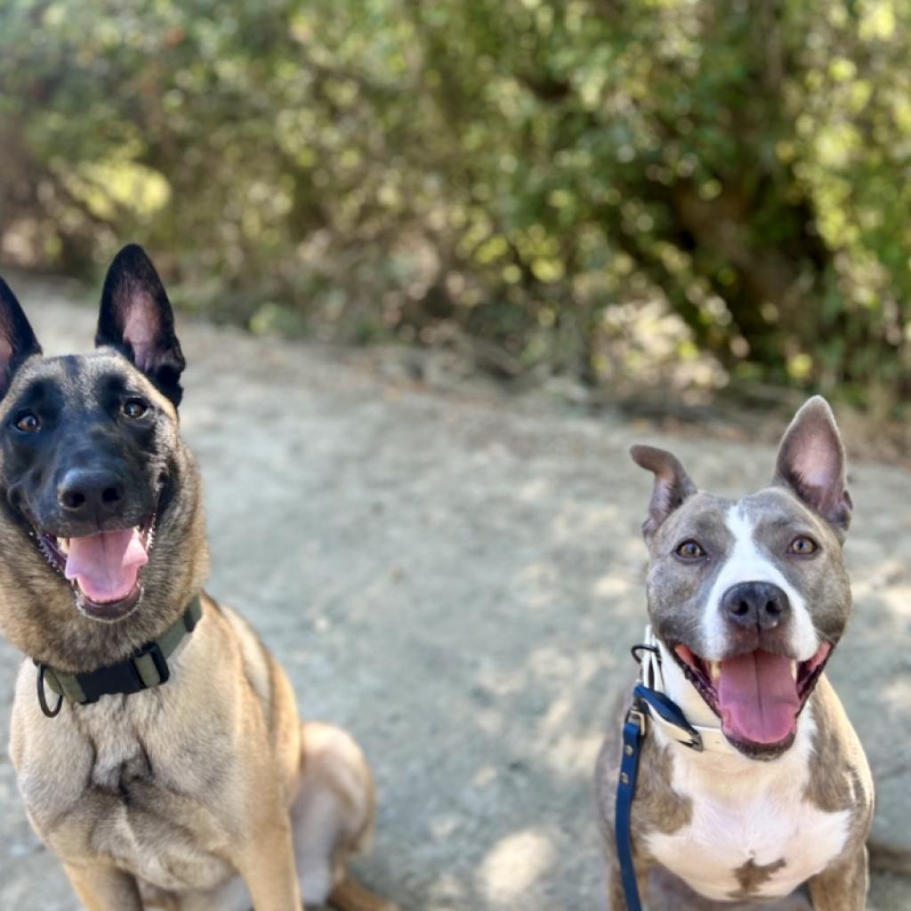 RILEY McPITTY — thumbnail 2