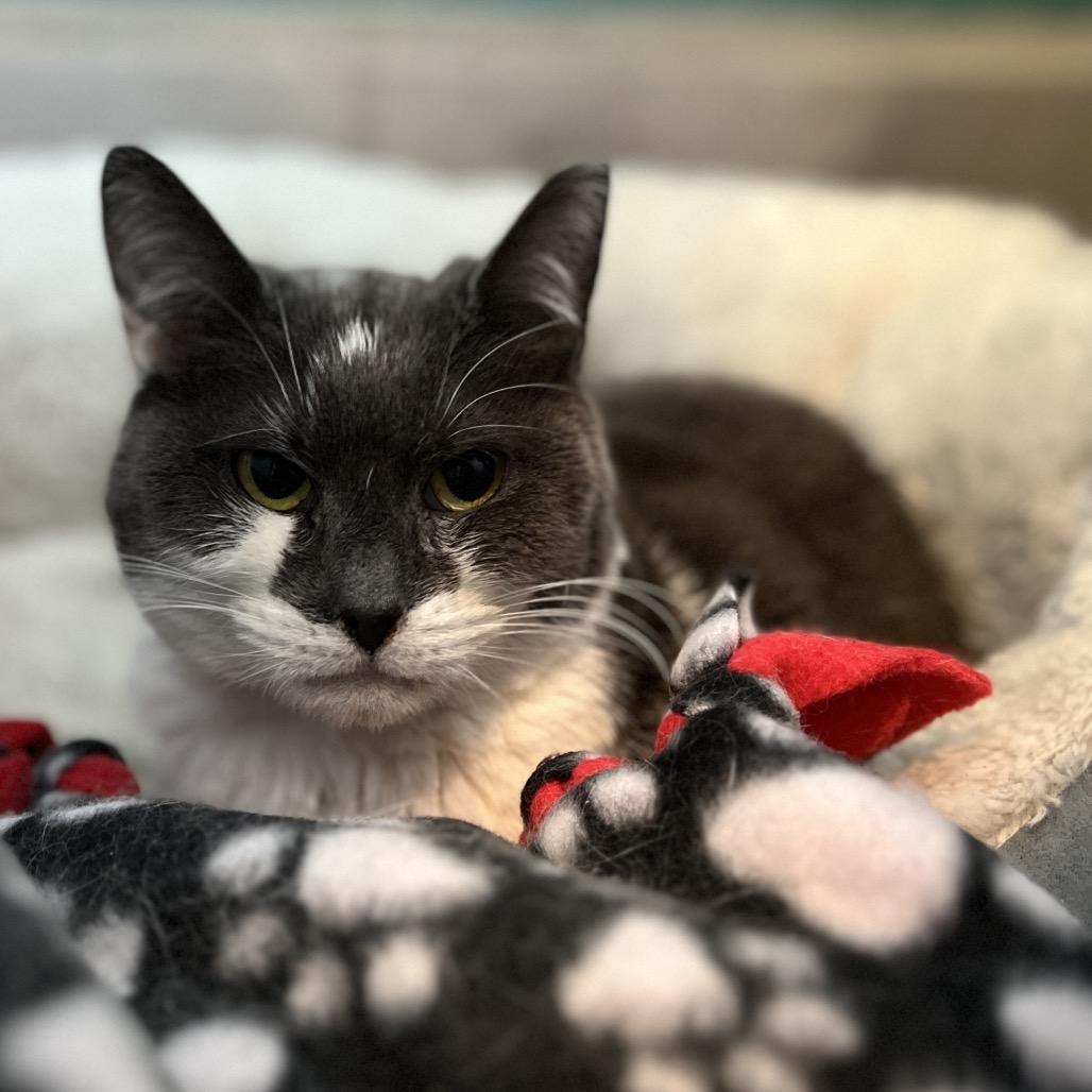 Diane — thumbnail 2