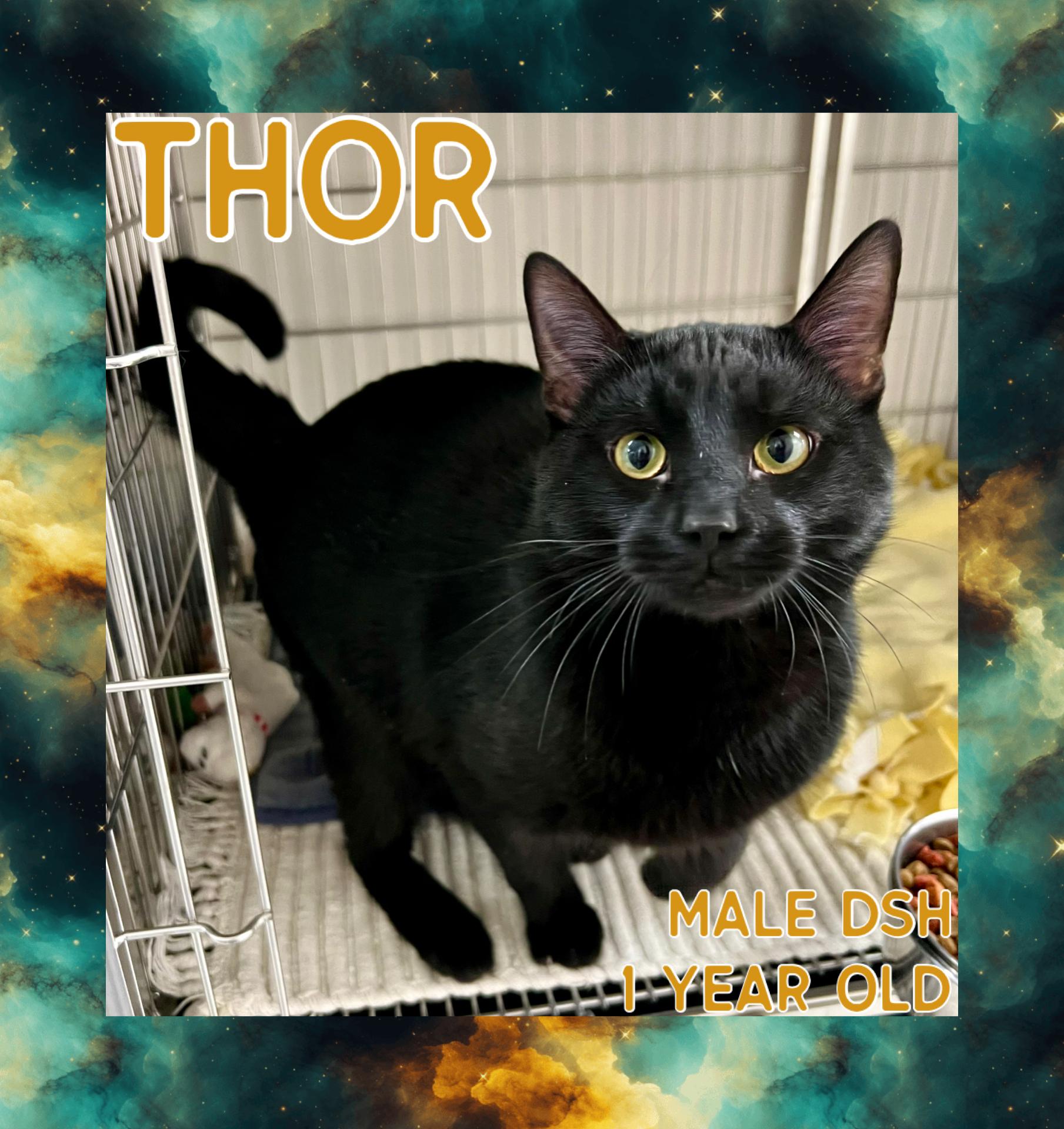 Thor