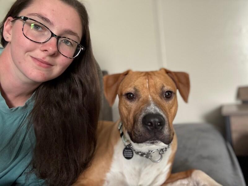 Koda Bear Caddo the Dogs Dog Dream — thumbnail 5