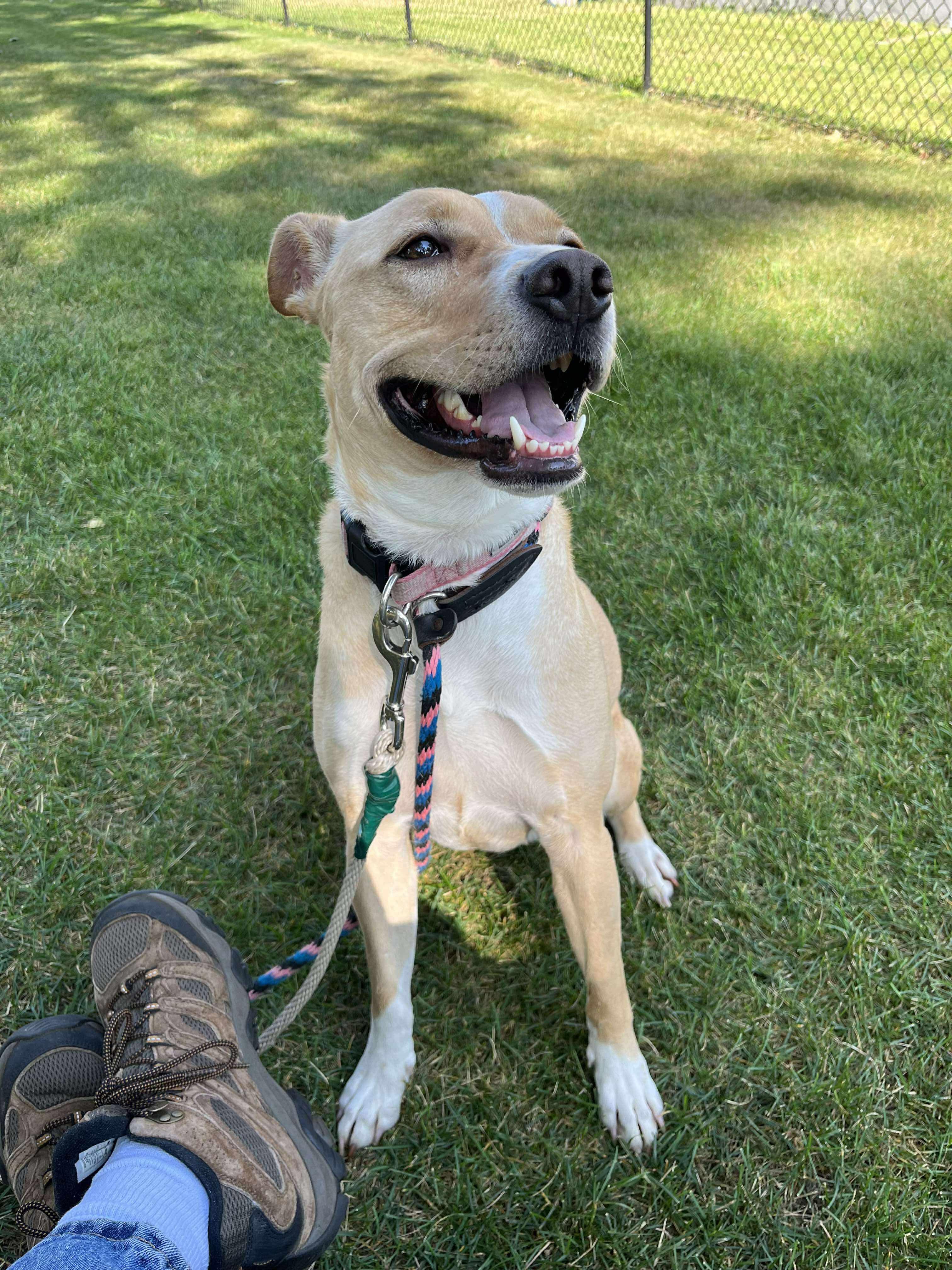 CORA