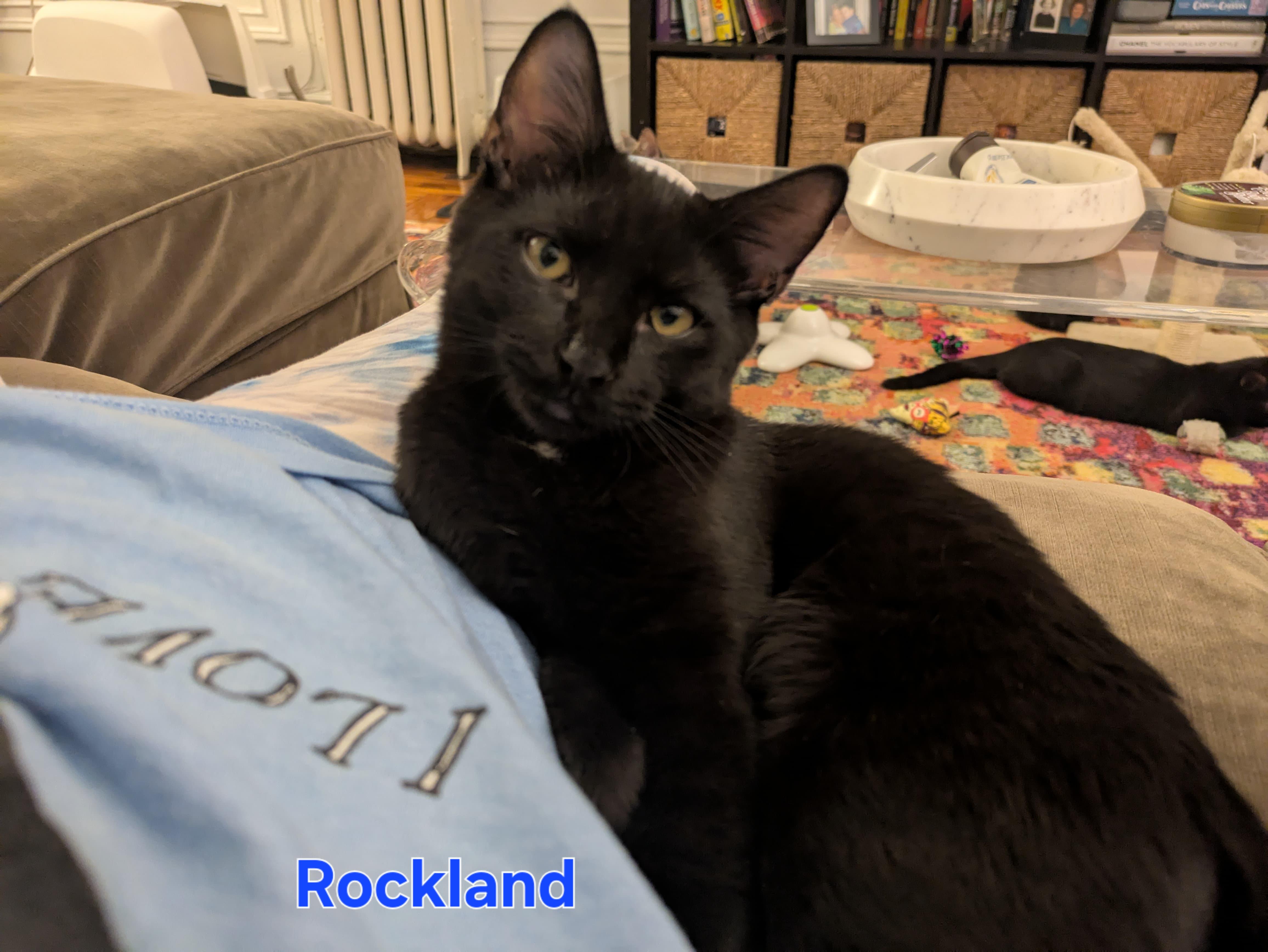 Dutchess & Rockland