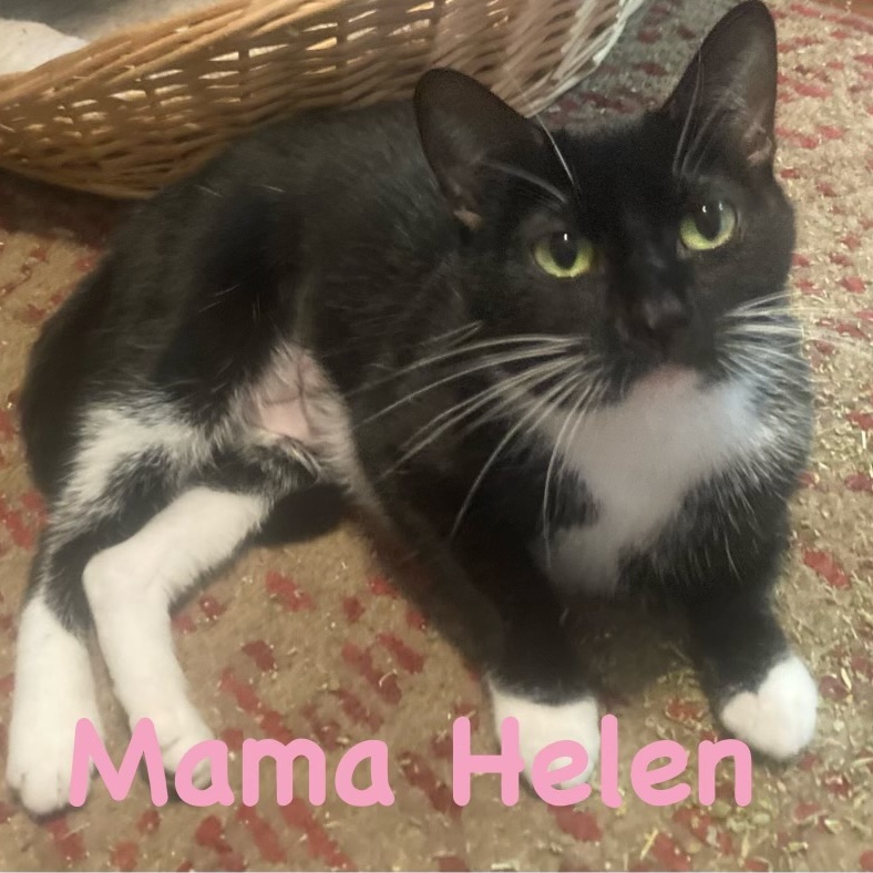 Mama Helen 3
