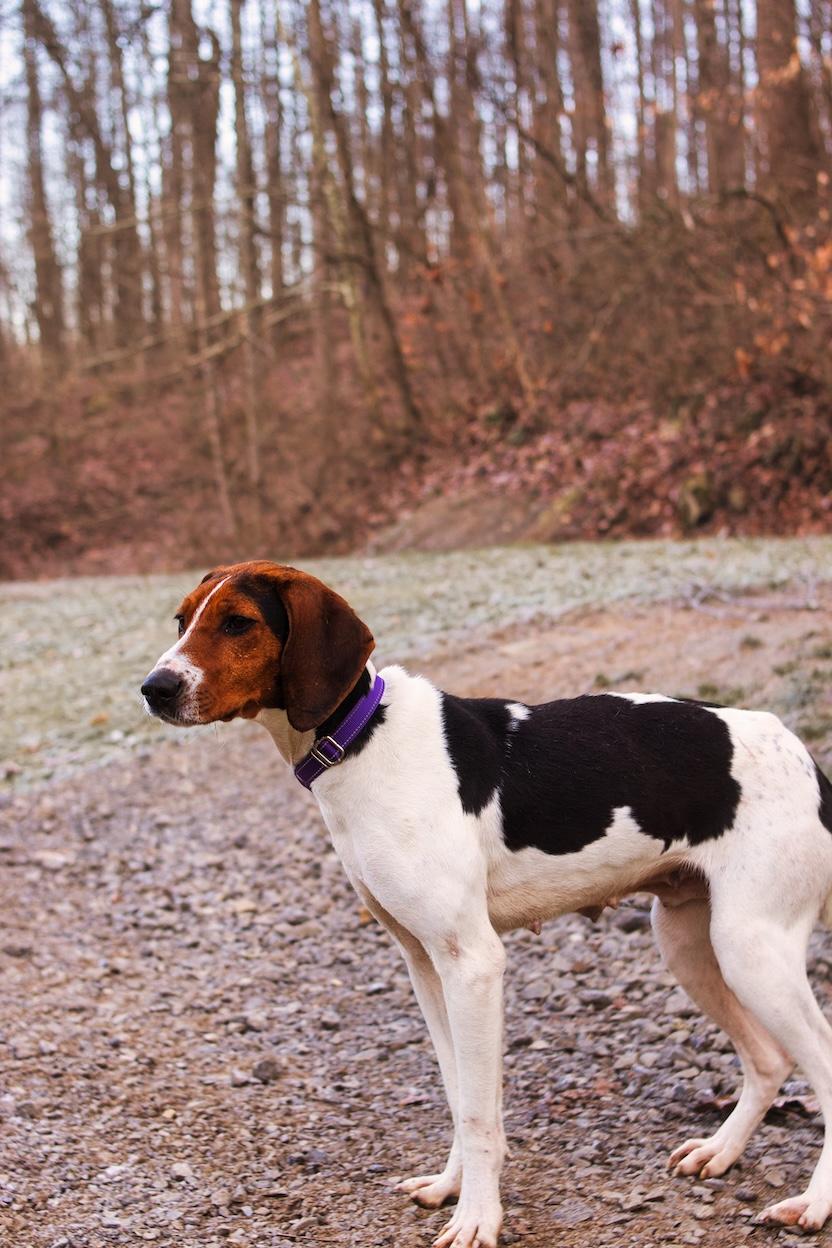 Loretta Lynn thumbnail 3