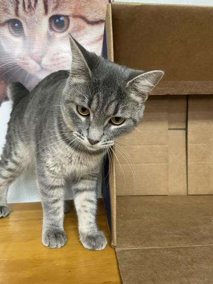 Wilma — thumbnail 2