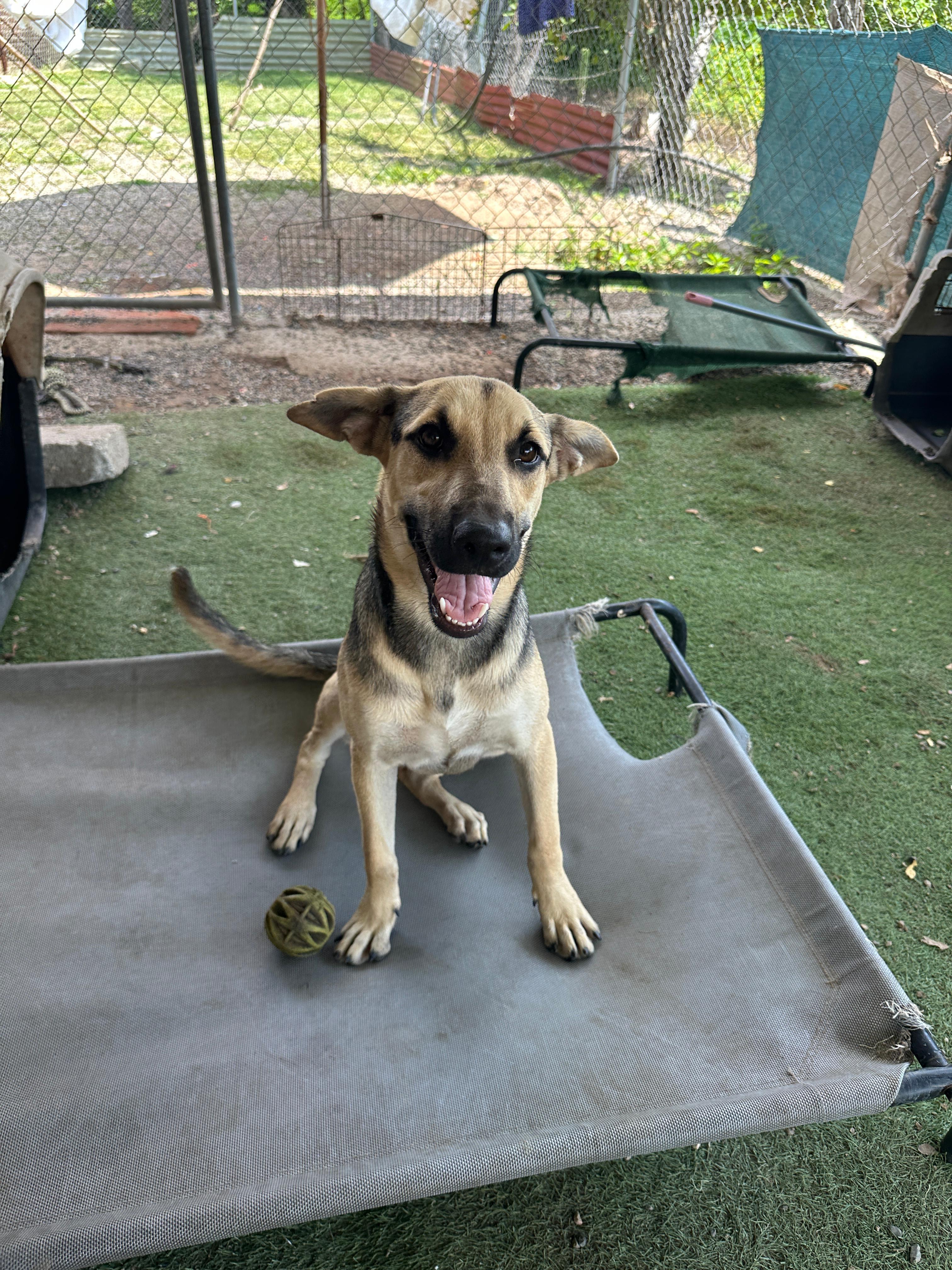 Alice — thumbnail 4