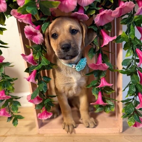 Jacque the silly guy — thumbnail 2