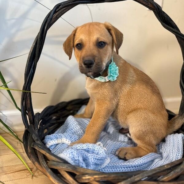 Jacque the silly guy — thumbnail 5